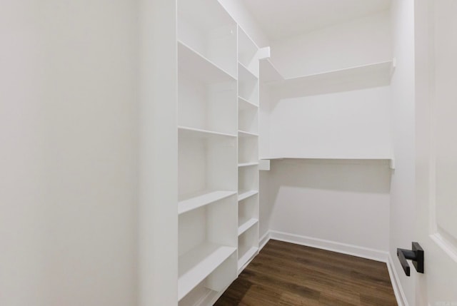 spacious closet featuring dark hardwood / wood-style floors