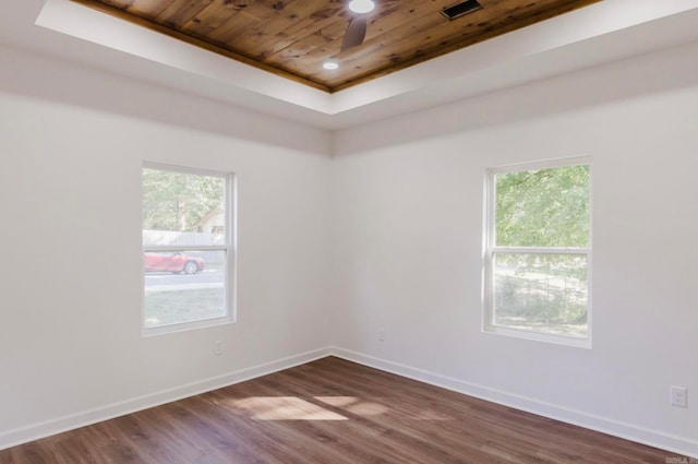 empty room with hardwood / wood-style floors, a tray ceiling, and a wealth of natural light