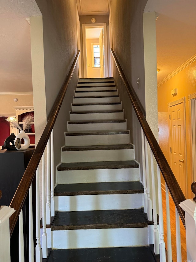 stairs with hardwood / wood-style flooring and ornamental molding