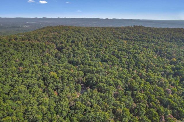 bird's eye view with a mountain view