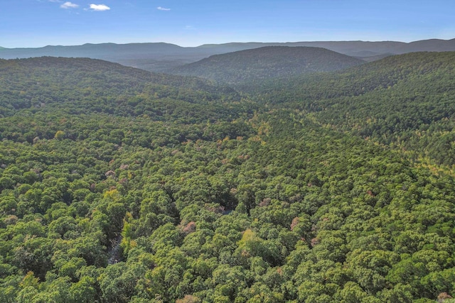 view of mountain feature