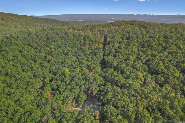 view of mountain feature