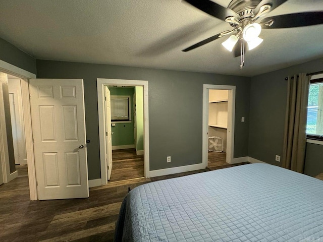 bedroom with ceiling fan, a textured ceiling, a spacious closet, connected bathroom, and dark wood-type flooring