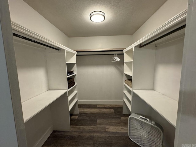 spacious closet with dark hardwood / wood-style floors