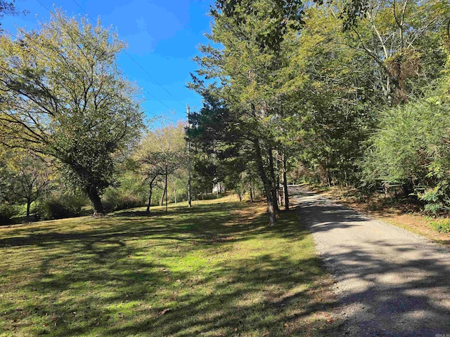 view of road