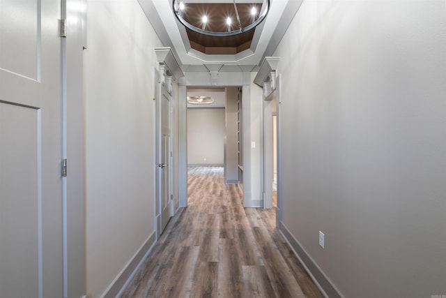 hallway featuring hardwood / wood-style flooring and a tray ceiling