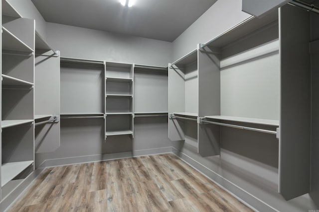 spacious closet with light hardwood / wood-style flooring