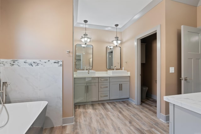 bathroom with vanity, toilet, wood-type flooring, and a bath