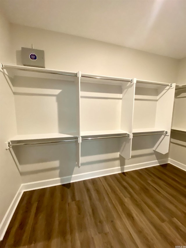 spacious closet featuring dark hardwood / wood-style floors