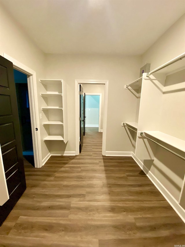 spacious closet featuring hardwood / wood-style flooring