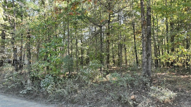 TBD Polk Rd Unit 257, Wickes, AR 71973