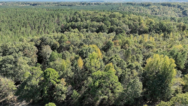 TBD Polk Rd Unit 257, Wickes, AR 71973