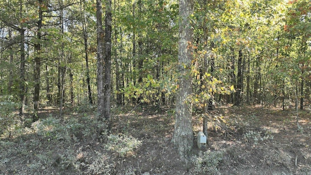 TBD Polk Rd Unit 257, Wickes, AR 71973