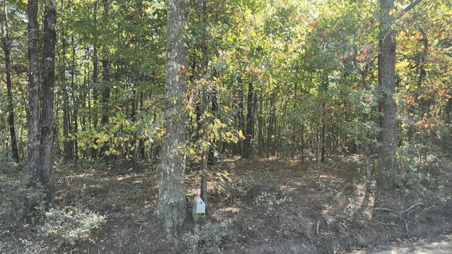 TBD Polk Rd Unit 257, Wickes, AR 71973