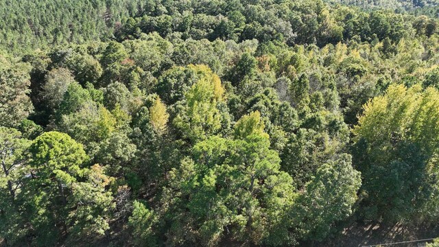 TBD Polk Rd Unit 257, Wickes, AR 71973