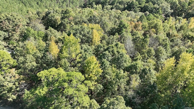TBD Polk Rd Unit 257, Wickes, AR 71973