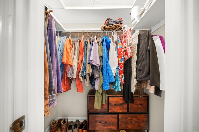 view of walk in closet