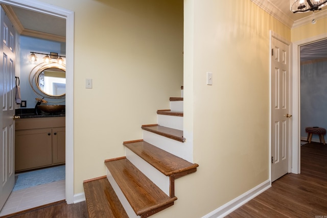 stairs featuring hardwood / wood-style flooring and ornamental molding