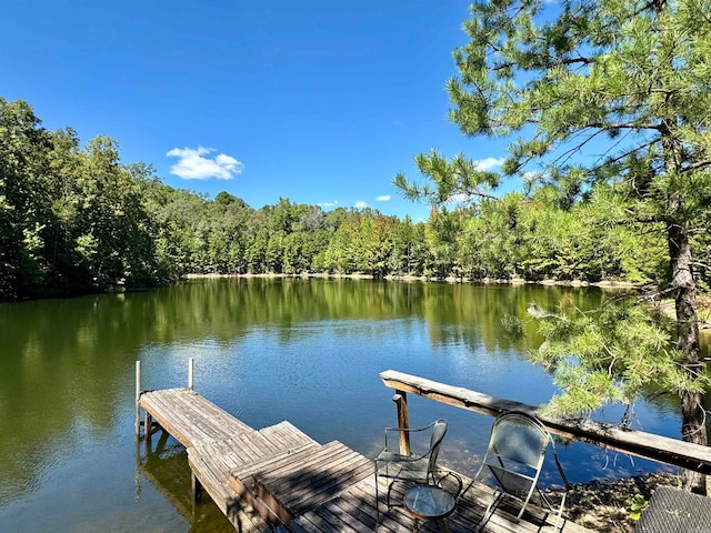 view of dock featuring a water view