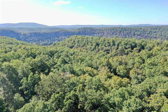 view of mountain feature