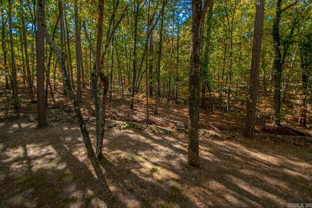 view of landscape