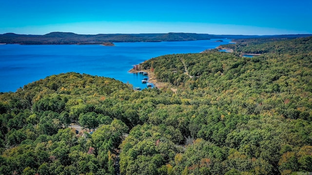 drone / aerial view with a water and mountain view