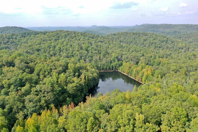 drone / aerial view with a water and mountain view