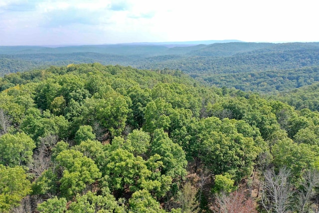 bird's eye view featuring a mountain view