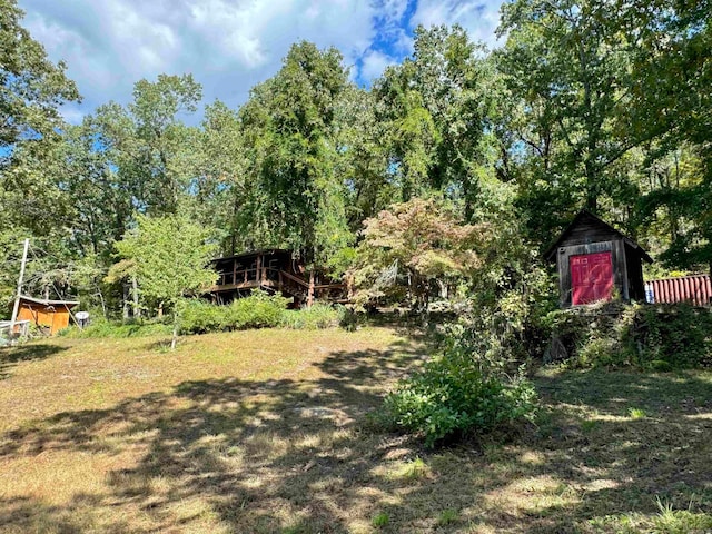 view of yard featuring a shed