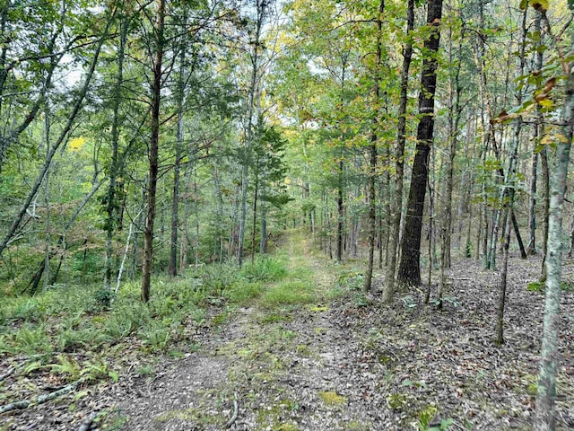 view of landscape