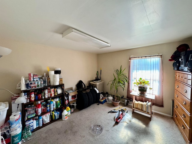 miscellaneous room featuring carpet flooring