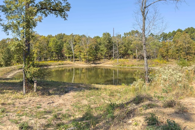 TBD Polk Rd Unit 420, Mena AR, 71953 land for sale