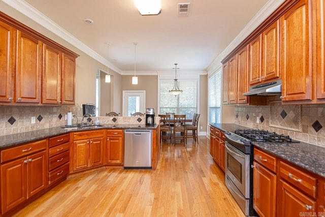 kitchen with light hardwood / wood-style flooring, hanging light fixtures, sink, crown molding, and appliances with stainless steel finishes