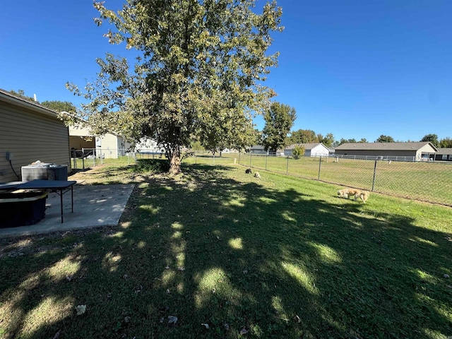 view of yard with a patio and cooling unit