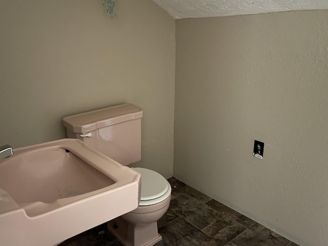 203 Mcclamrock, Portia, AR 72457 - bathroom featuring toilet, a sink, and a textured ceiling