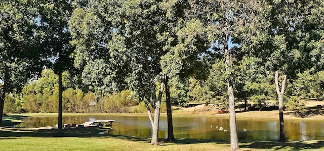 view of water feature