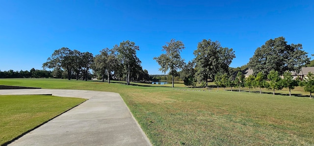 view of community with a yard