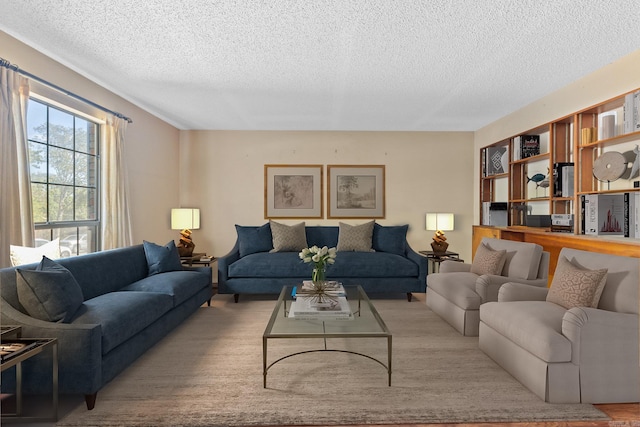 living room with light hardwood / wood-style flooring and a textured ceiling