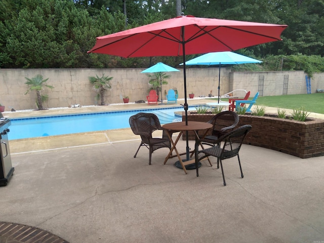 view of swimming pool with a patio