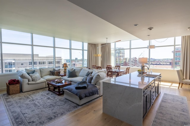 living room featuring light hardwood / wood-style flooring and expansive windows