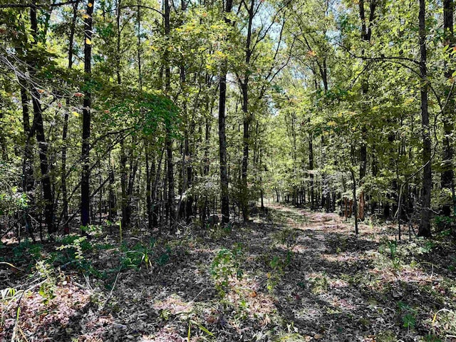 view of local wilderness