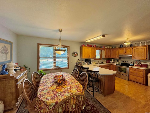 dining area featuring light hardwood / wood-style floors, a healthy amount of sunlight, and sink