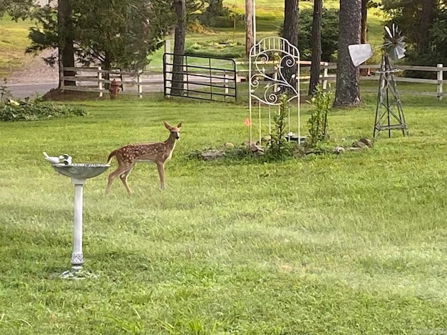 view of yard