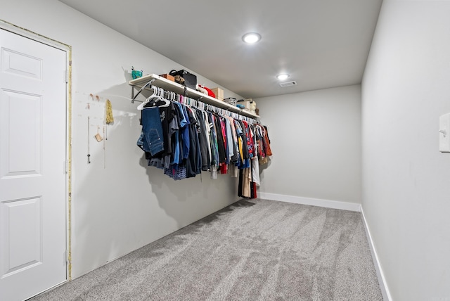 walk in closet with carpet floors