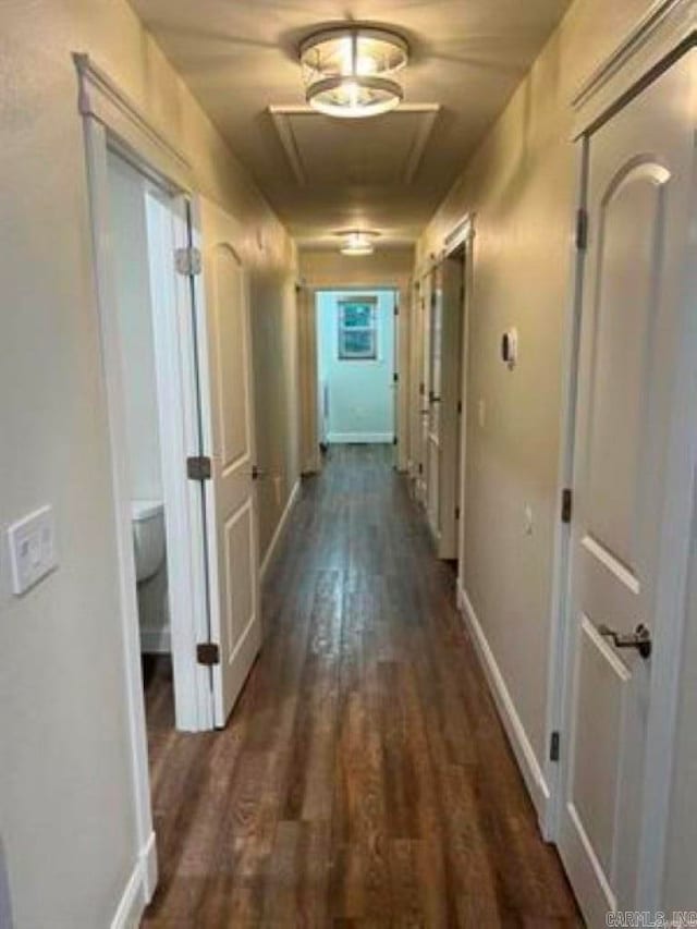 hall featuring dark hardwood / wood-style flooring