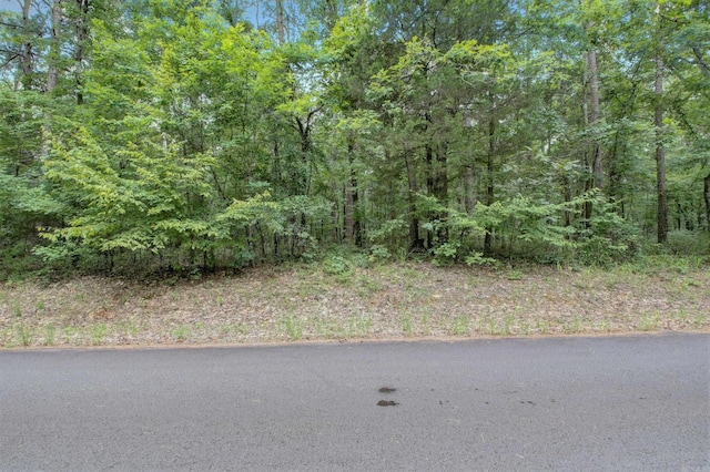 Listing photo 2 for 16 Pedrera Ln, Hot Springs Village AR 71909