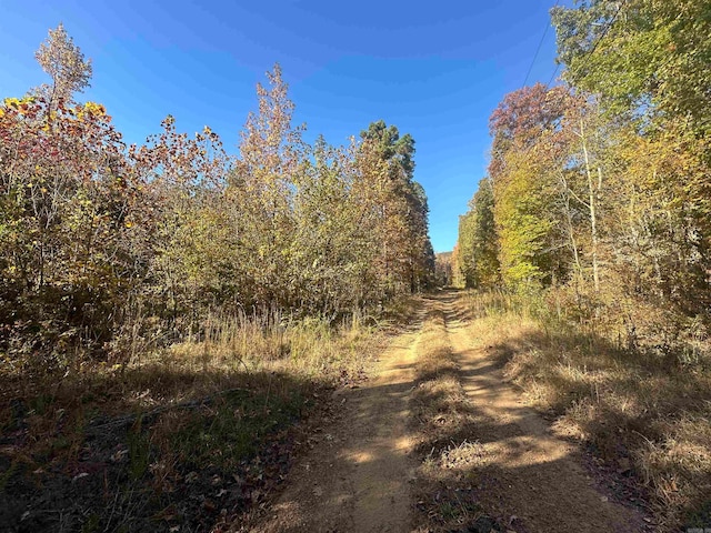 view of local wilderness