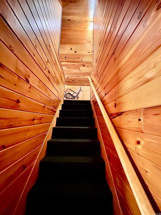 stairway with wooden walls and wood ceiling