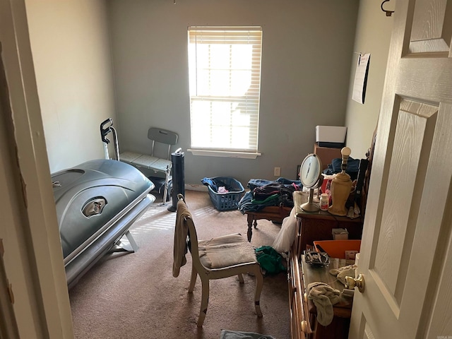 bedroom featuring carpet floors