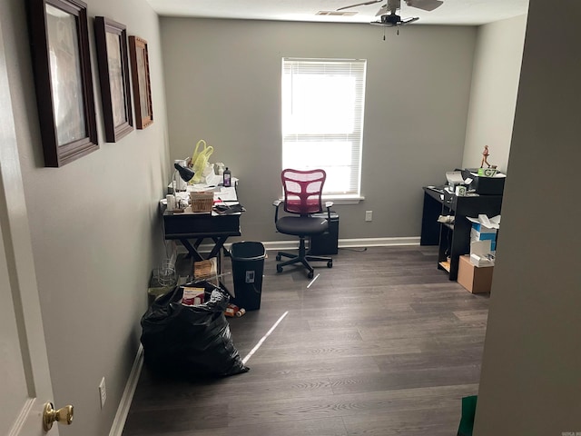 office featuring ceiling fan and dark hardwood / wood-style flooring